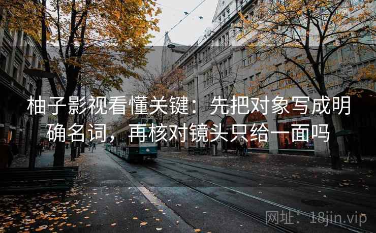 柚子影视看懂关键：先把对象写成明确名词，再核对镜头只给一面吗  第2张