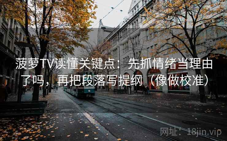 菠萝TV读懂关键点：先抓情绪当理由了吗，再把段落写提纲（像做校准）